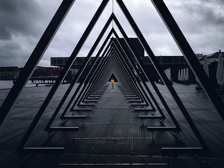 Massa Odneque Aliquam Vestibulum Morbi ryota nagasaka w 5tum7xa00 unsplash